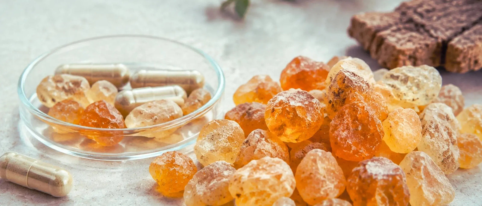 Boswellia Serrata for Joint Pain: Does It Work — and How to Take It?