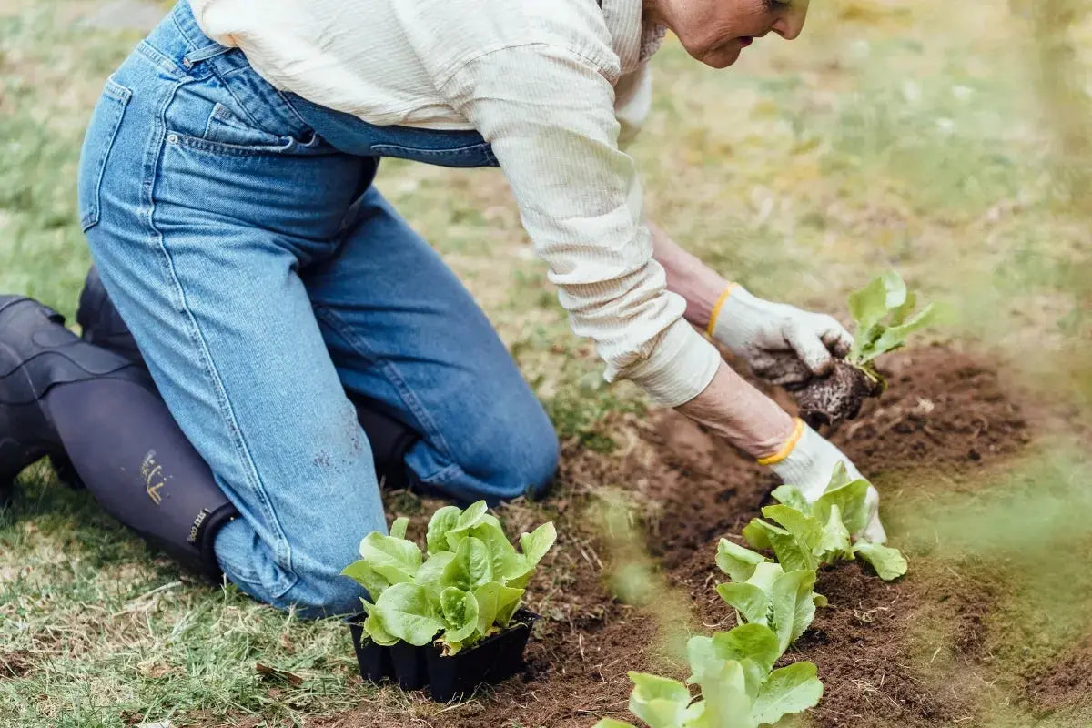 Gardening Knee Pain: Why It Happens and How to Keep Gardening Umicellar