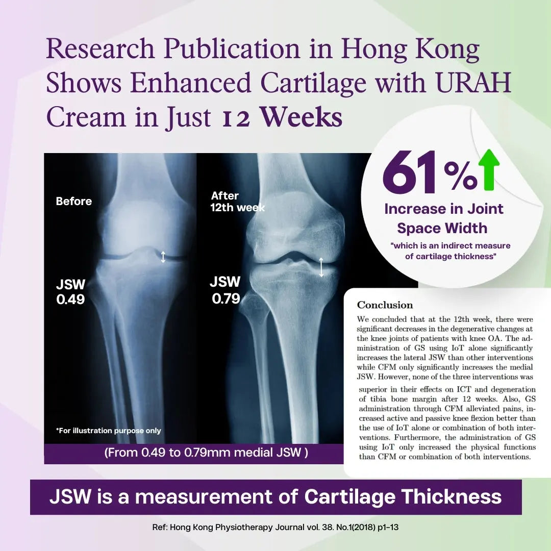 [3-Month Supply] Joint Health Omega-3 Micellar Cream My Store