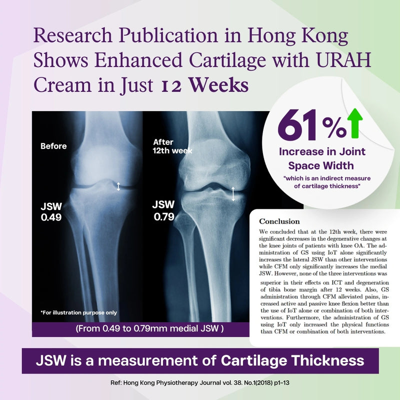 [3-Month Supply] Joint Health Omega-3 Micellar Cream