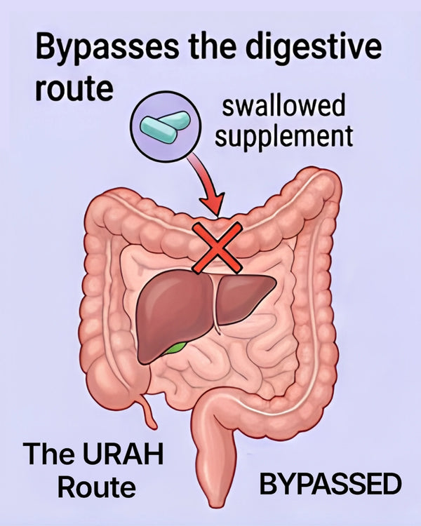 It avoids the gut and first-pass liver metabolism.